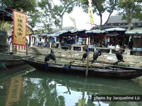 Tongli Wasserdorf, ein altes Dorf mit Steinbrücken