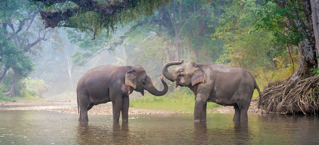 China Thailand visafreie Tour