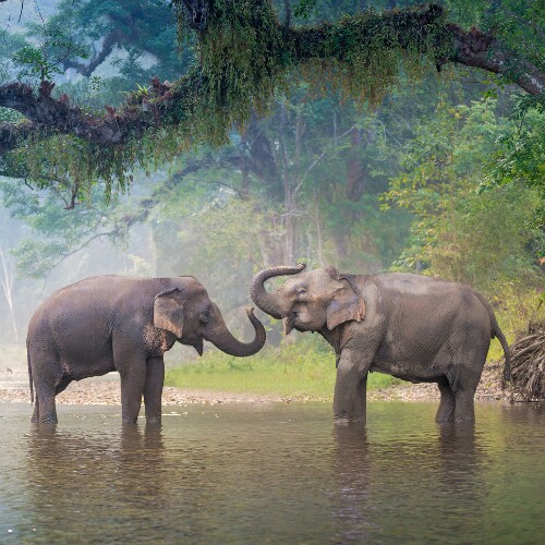 Thailand Reiseführer