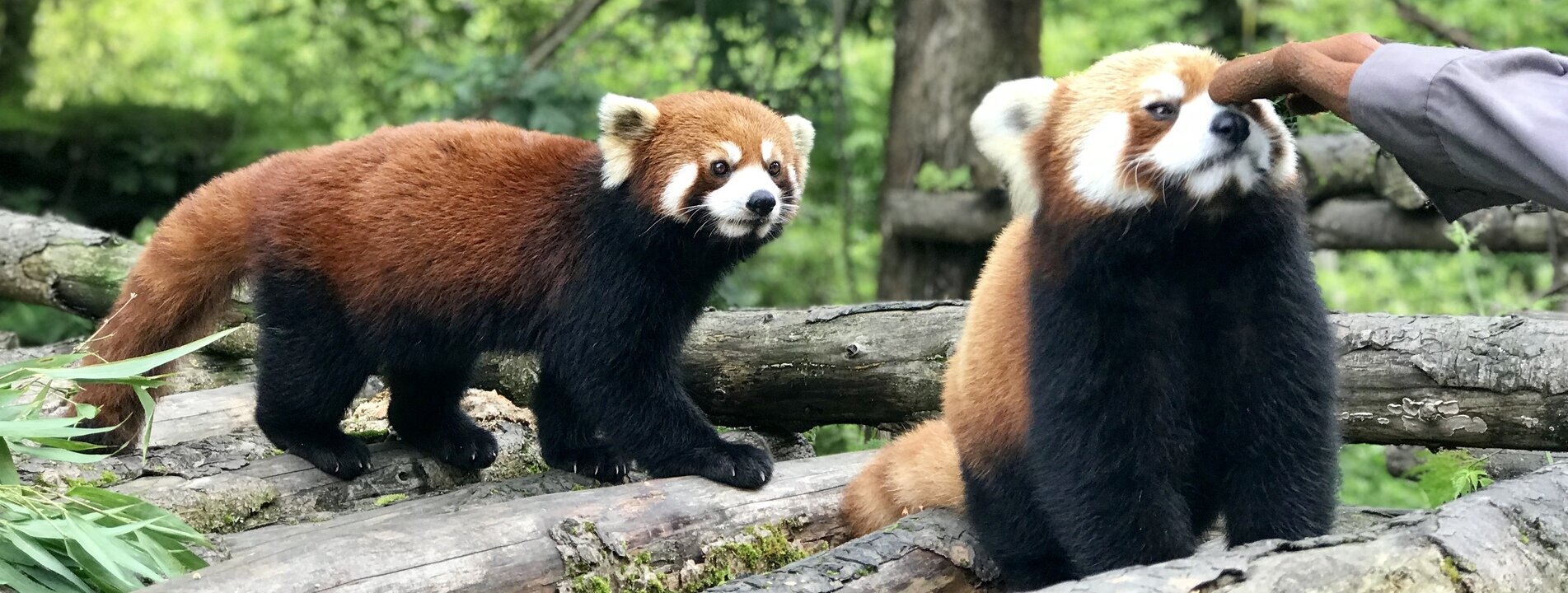 Klassische China Rundreise