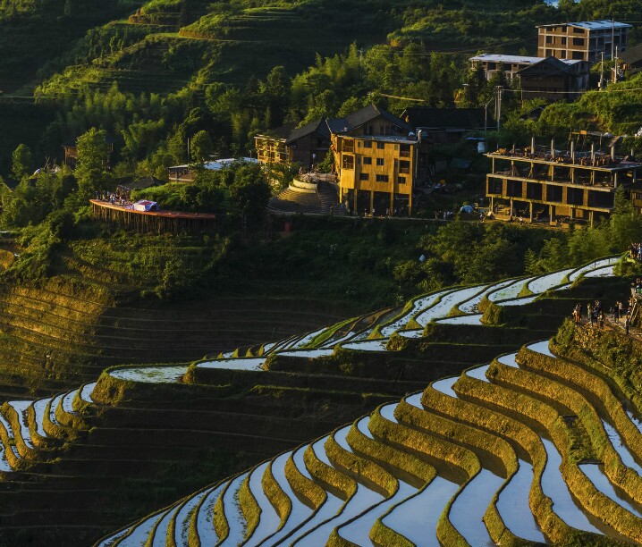Guilin- Longji Reisterrassen