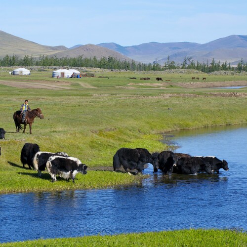 Mongolei Urlaub